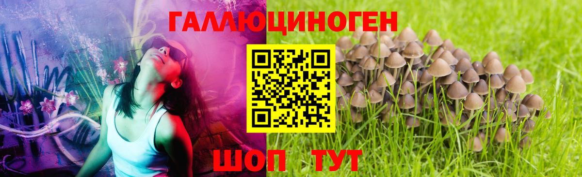 Киров  Псилоцибиновые грибы мухоморы  Вход с VPN 