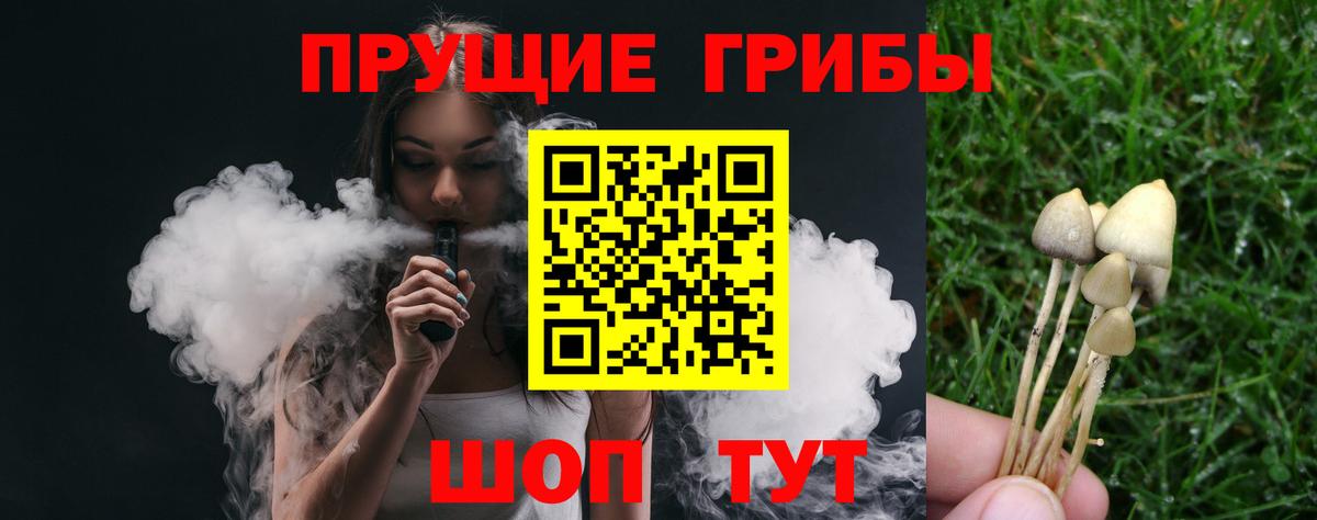 Галлюциногенные грибы GOLDEN TEACHER Киров